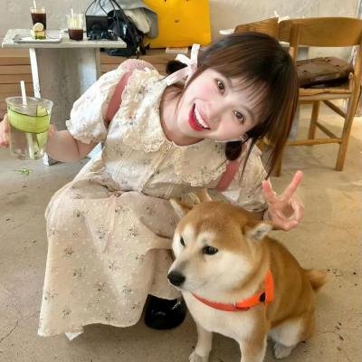 欢迎来到加帕里公园第三季